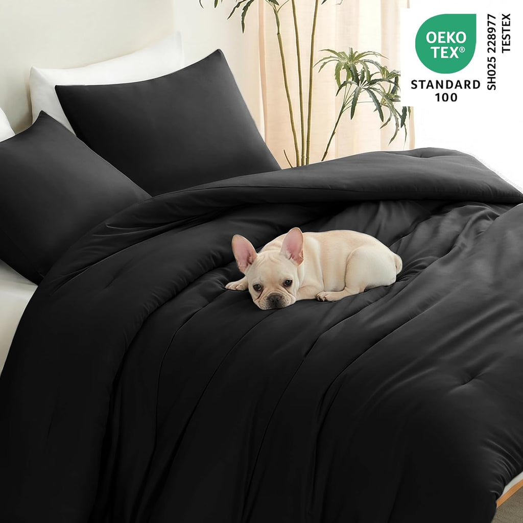 Black Queen-size 3-piece quilted bedding set.