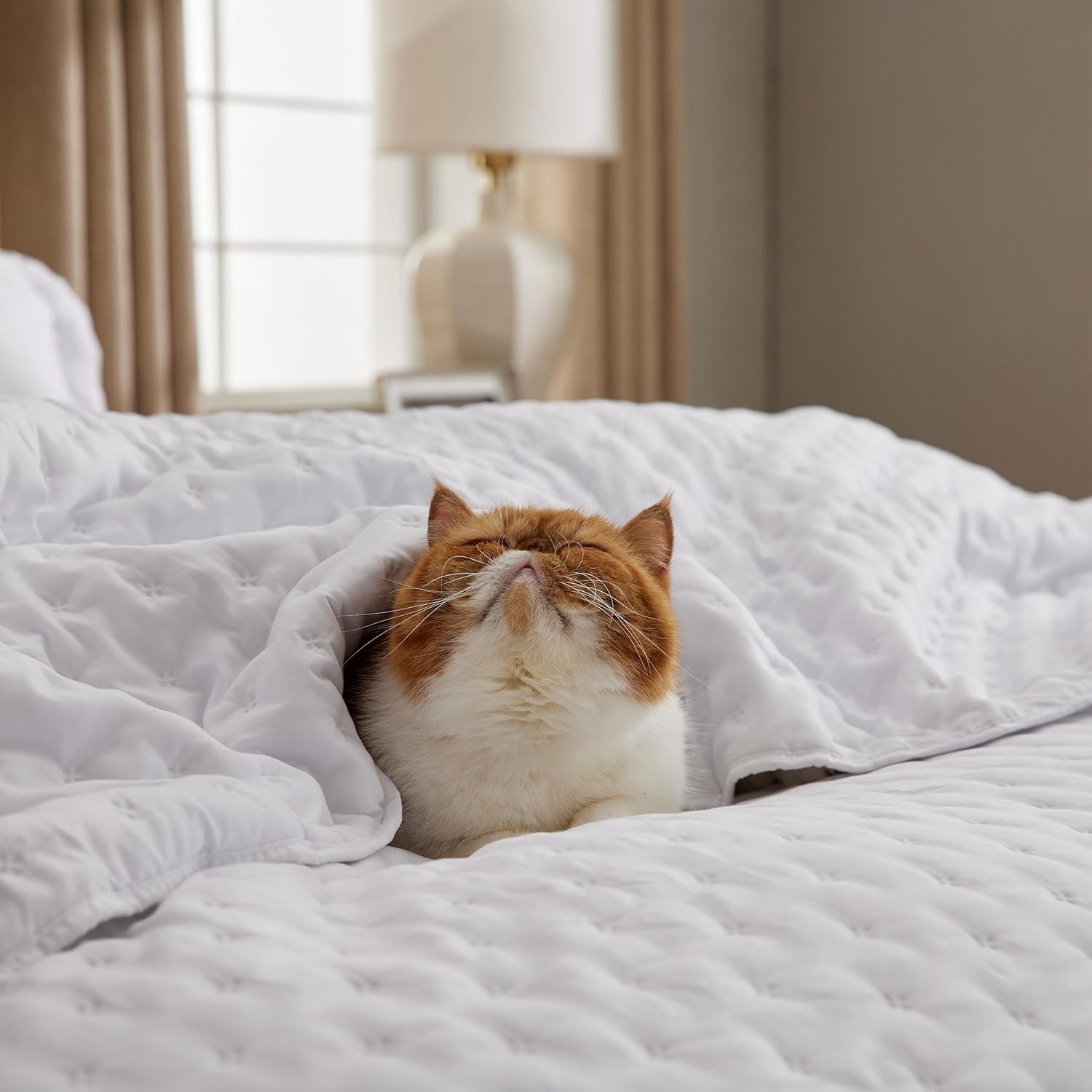 Quilt – Lightweight summer-style Queen-size quilt.